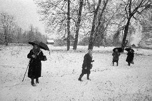 Portfolio (Petrovo Village) 11